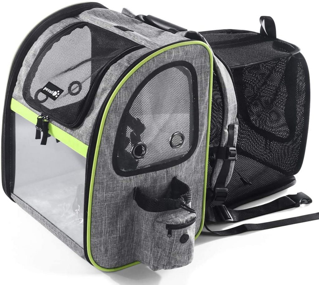 best carrier for Chihuahua - pecute dog carrier - ILoveChihuahua