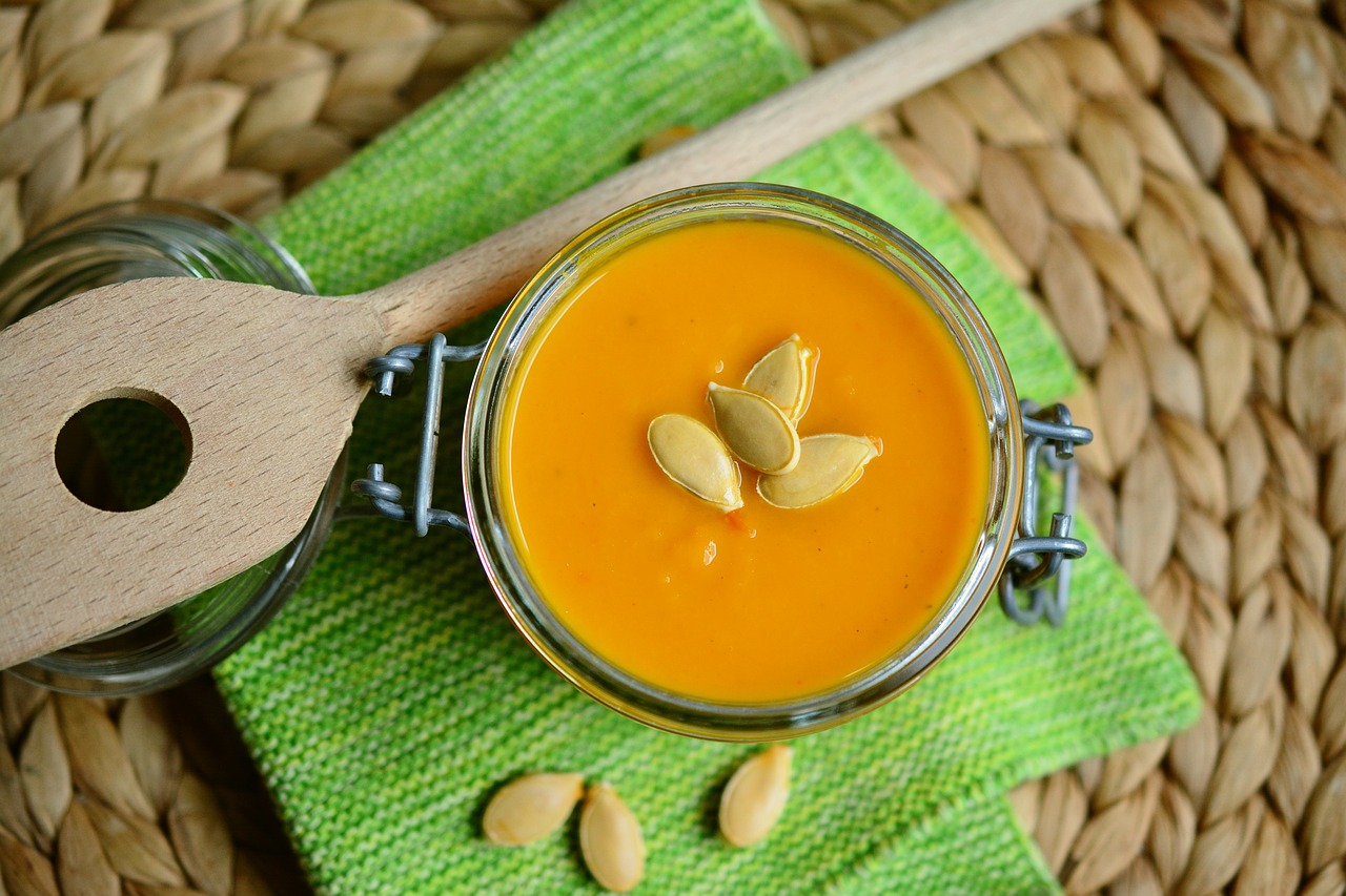 Pumpkin soup for chihuahua's constipation